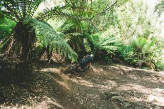 The Surfside Beaumaris - 2