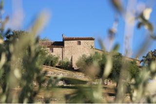 Fattoria La Pieve - Stribugliano - 8