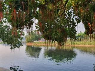 Ploy Resort - Kanchanaburi - 2