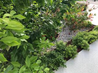 Sweet Dreams - Studio Apartment - 5