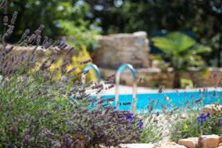 Wonderful villa Palera II with pool, immersed in the nature near the beach - Ližnjan - 7