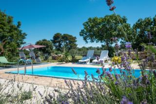 Wonderful villa Palera II with pool, immersed in the nature near the beach - Ližnjan - 6
