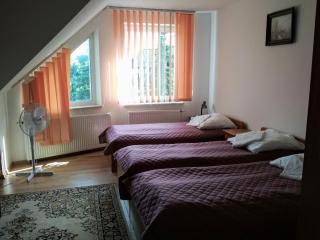 VITA Augustów - Augustów - 3
