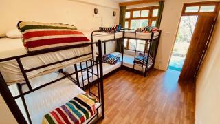 Madpackers Manali - 7