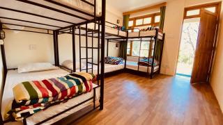 Madpackers Manali - 6