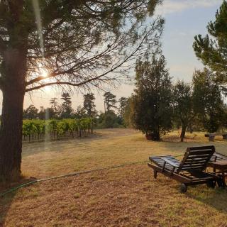 Villa Chiccheio Rooms - Montepulciano - 8
