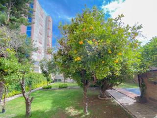 Azabu Hotel Collection - San Luis Potosí - 7