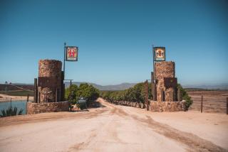 Hotel Castillo Ferrer - Valle de Guadalupe - 9