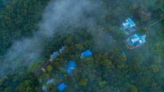 Eterno Camellia & Elettaria Resort with Pool - Munnar - 9