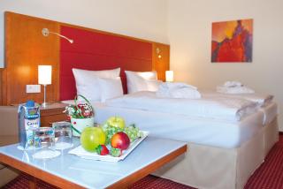 Morada Hotel Heidesee Gifhorn - Gifhorn - 4