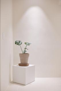 White Linen House - Seul - 4