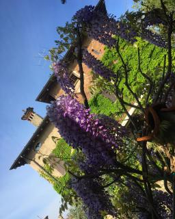 Torre de Salis - Gussago - 5