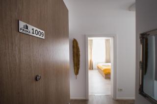No. 10 - The Penthouse in City Center - Oradea - 5