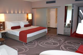 Hotel Ramada Pitesti - 8