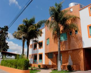 Plaza Fontesanta - Amecameca de Juárez - 0