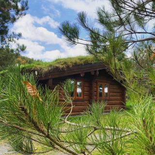 Log home village - 0