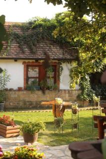 Ilkićev kućerak Apartman - Vrdnik - 4
