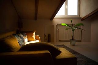 Caly apartament - Bydgoszcz - 2