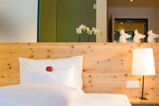 Villa Seilern Vital Resort - Bad Ischl - 5