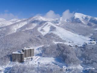 One Niseko Resort Towers - 9