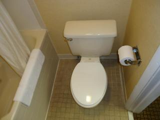 Econo Lodge Elmira-Corning - Elmira - 2