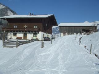 Bamerhof - Mittersill - 0
