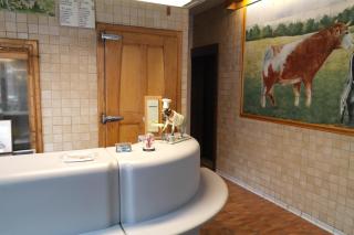 De Bonte Os Hotel & Tower - Roeselare - 9