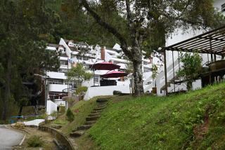 The Pines at Fraser's Hill, Malaysia - Bukit Fraser - 8