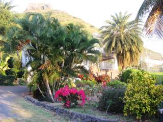 Tamarin Chambres d'Hotes - 7