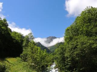 Auberge Les Myrtilles - Couflens - 2