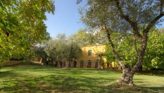 Holiday Home Arpicella - Pienza - 5