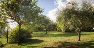 Holiday Home Arpicella - Pienza - 4