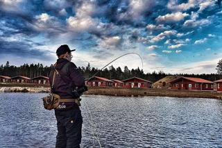 Kosta Lodge - 7
