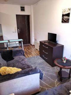 Double Studio near SKI Lift - Bansko - 7