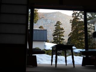 Kinokuniya Ryokan - Hakone - 2