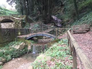 Via Borgo B&B - Altavilla Silentina - 3