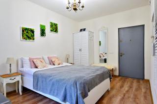 Transilvania Apartment - Sibiu - 6