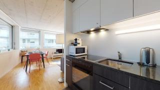 Bright and luminous 1 bedroom flat in downtown - Sion - 9