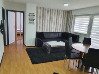 Drei Zimmer Apartment am Rhein - Bad Säckingen - 9