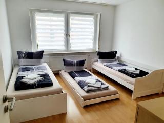 Drei Zimmer Apartment am Rhein - Bad Säckingen - 2