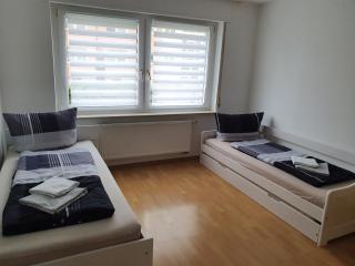 Drei Zimmer Apartment am Rhein - Bad Säckingen - 1