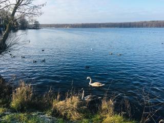 An der Glocke - 9