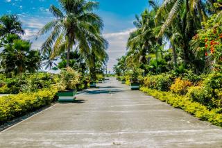 Grand West Villas - Nadi - 9