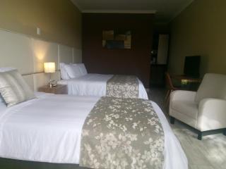 Hotel Salento Plaza - Salento - 1
