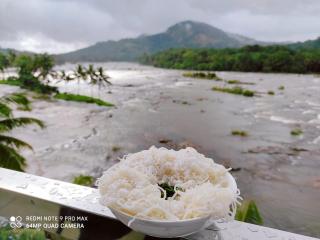 The Anchorage Athirapilly Resort - Athirappilly - 8