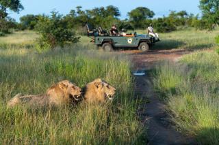 Kambaku Safari Lodge - Timbavati Game Reserve - 9