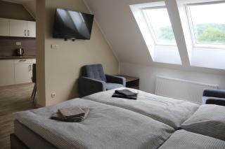 Apartmány LAMA - Hradec nad Moravicí - 8