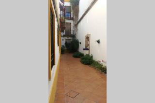 Nuevo y centrico, Santa Marina - Córdoba - 9