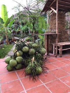 Bầu Bí Mini Farmstay Mekong - Tiền Giang - Mỹ Tho - 1