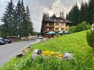 Hotel Modrava - Modrava - 8